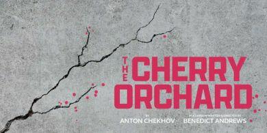 Cherry Orchard Preview