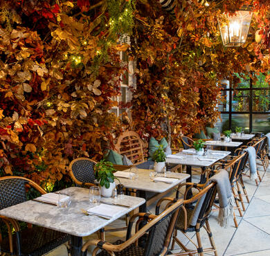 autumn installation on Dalloway Terrace