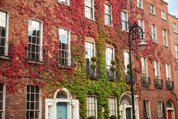 The Prettiest Spots in Dublin to Enjoy the Autumn