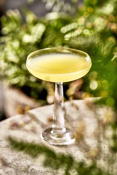 Kensington Coronation Cocktail