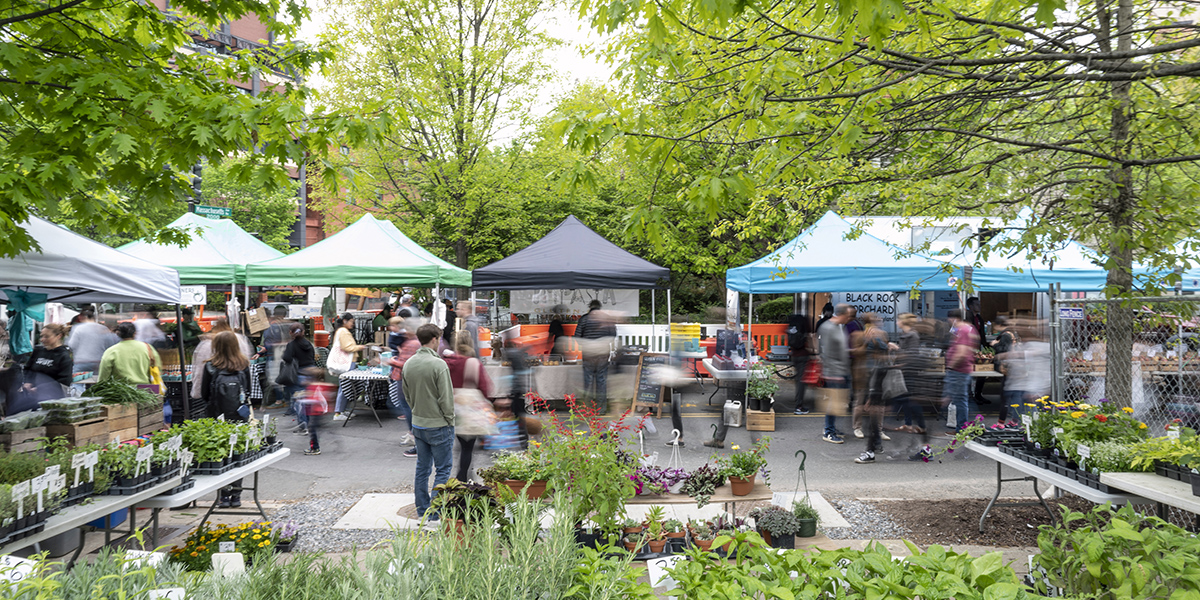 Shoppers walking around an outdoor farmers market in Washington, D.C.