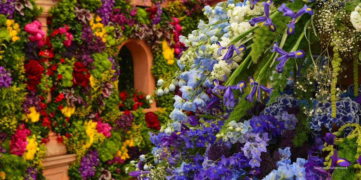 A vibrant floral display at the Chelsea Flower Show featuring a mix of blue, purple, pink, and yellow flowers in full bloom, set against the historic stone architecture of the Royal Hospital Chelsea.