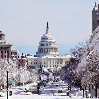 A serene winter scene of the U.S. Capitol, with the surrounding neighborhood streets and trees heavily laden with fresh snow.