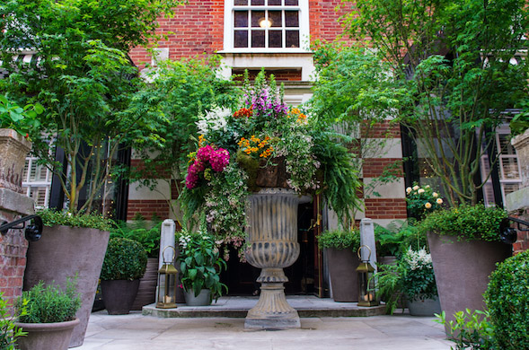 celebrating the chelsea flower show with chelsea in bloom at the bloomsbury hotel and the dalloway terrace the doyle collection 