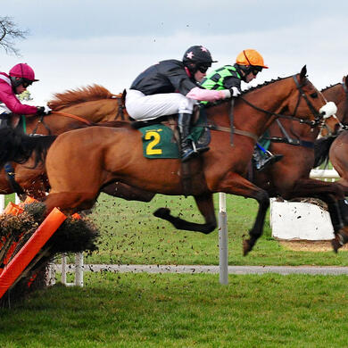 Horse with jockeys jumping over fence