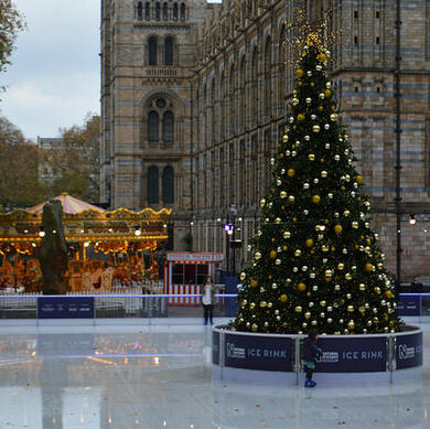 Ice rink with Christmas tree at the Natural History Museum