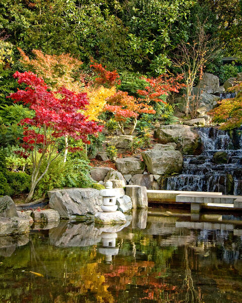 Kyoto Garden Leap year blog