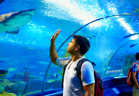 Man experiencing a unique underwater perspective at Bristol Aquarium.