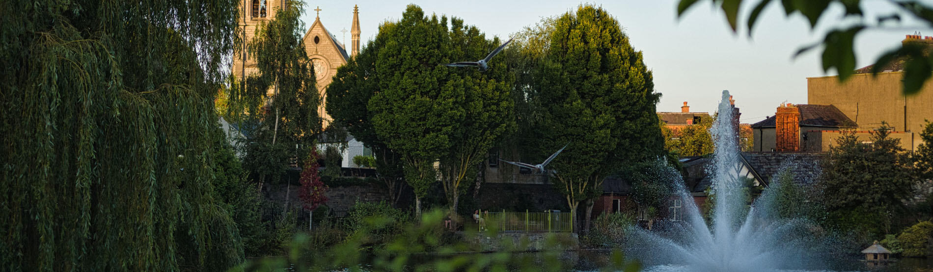 Trees and a water fountain 