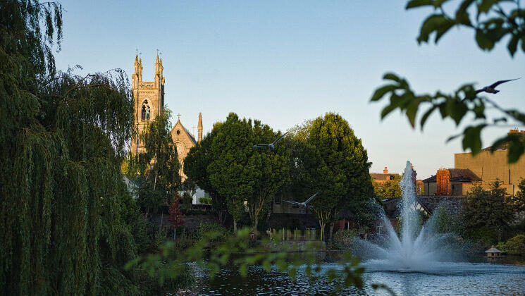 Trees and a water fountain 