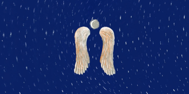 The image features wings against a blue background.