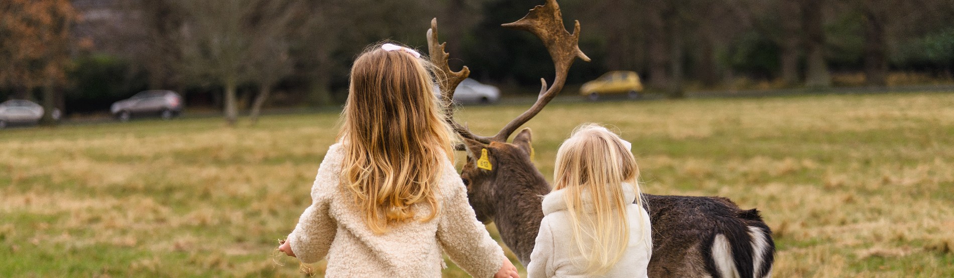 Children looking at a deer