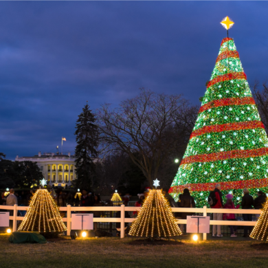 Christmas tree with lights 