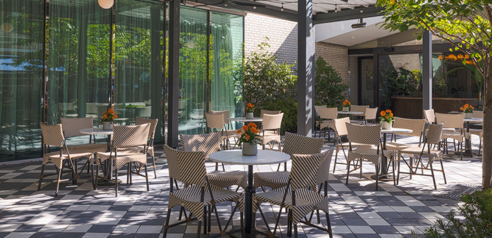 A bright and airy shot of the Glover Park Terrace at The Dupont Circle Hotel. Comfortable outdoor furniture is nestled among vibrant potted greenery, creating a relaxing garden oasis for guests.