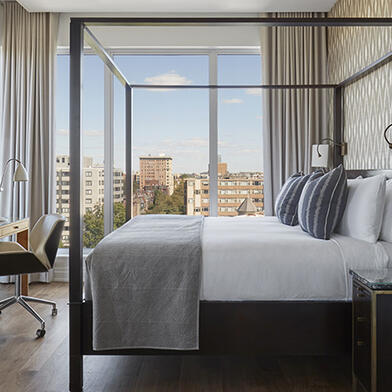 Image of Studio Terrace Suite