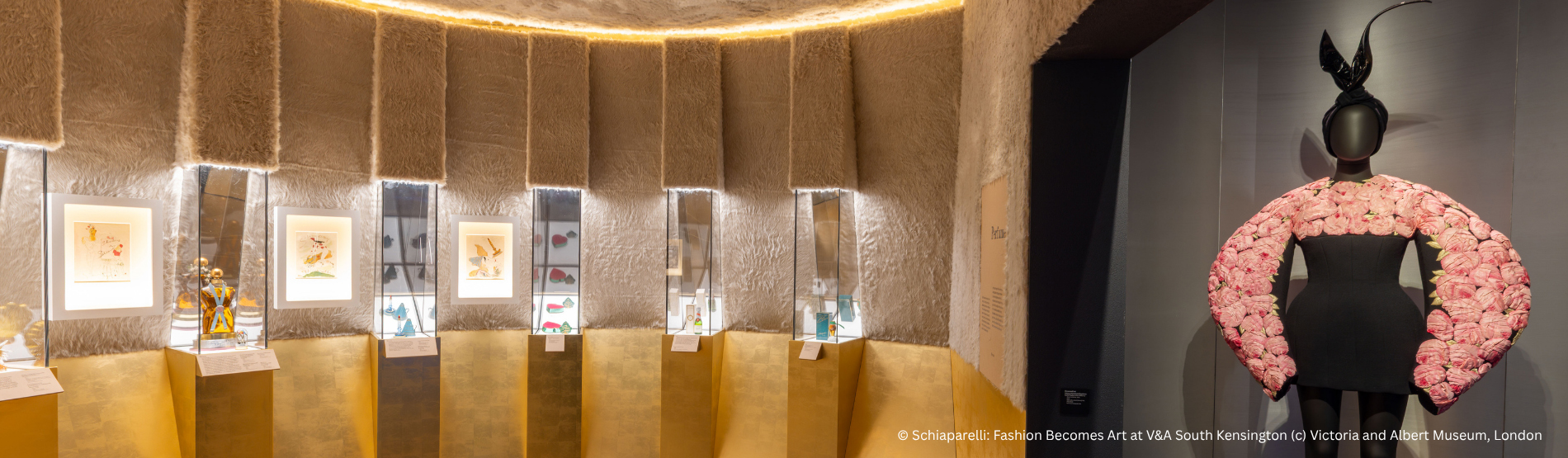 A luxurious display at the V&A Museum featuring a stunning Schiaparelli-inspired gown: a sleek black silhouette blooming with dramatic pink rose-petal sleeves