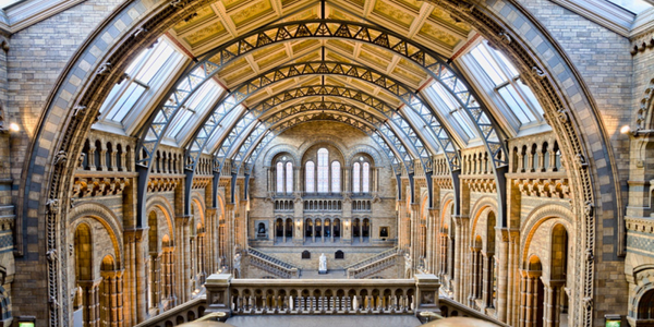 The interior of the natural history museum in London