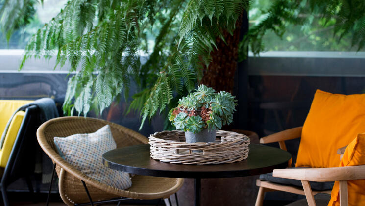 Table decorated with a plant in the outdoor terrace of the the River Club restaurant and bar