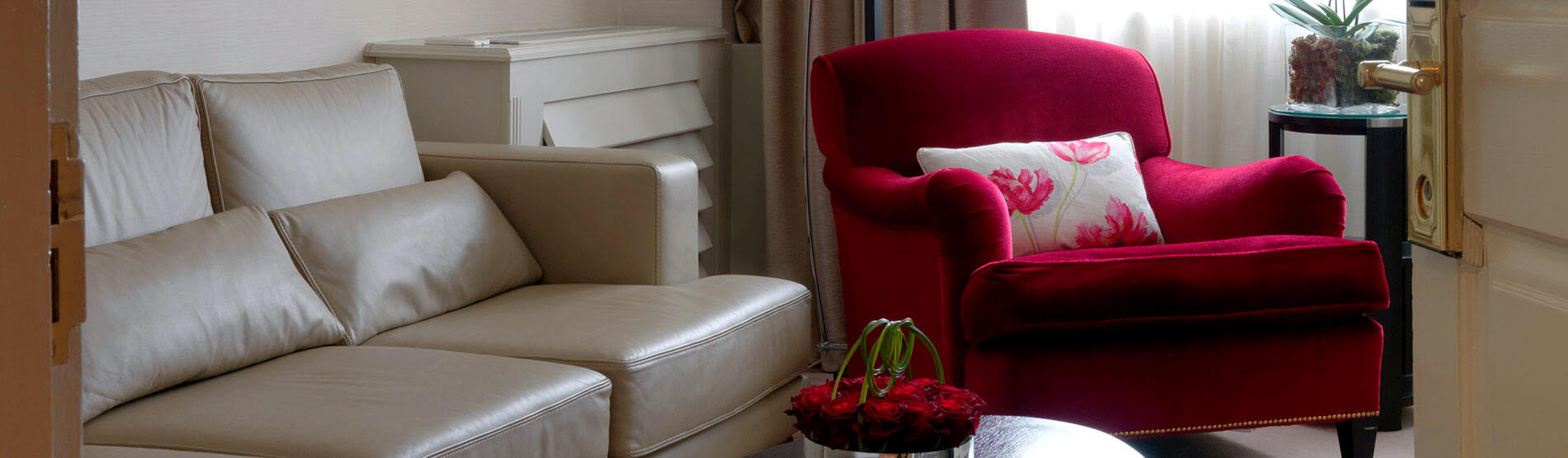 Luxury Suite 1 King Bed