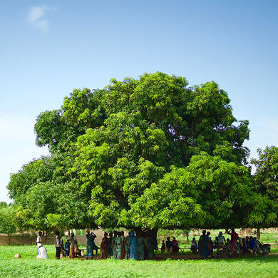 Women from the torem village under a mango tree