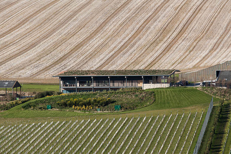 Rathfinny Winery with grass roof blending into the landscape behind