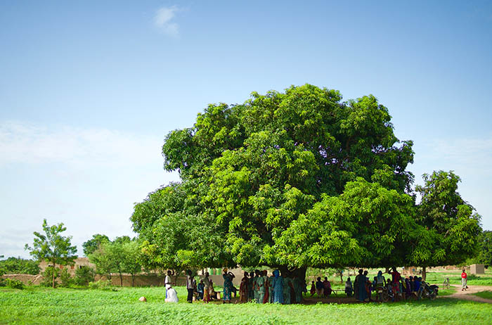 Women in torem village under a mango tree