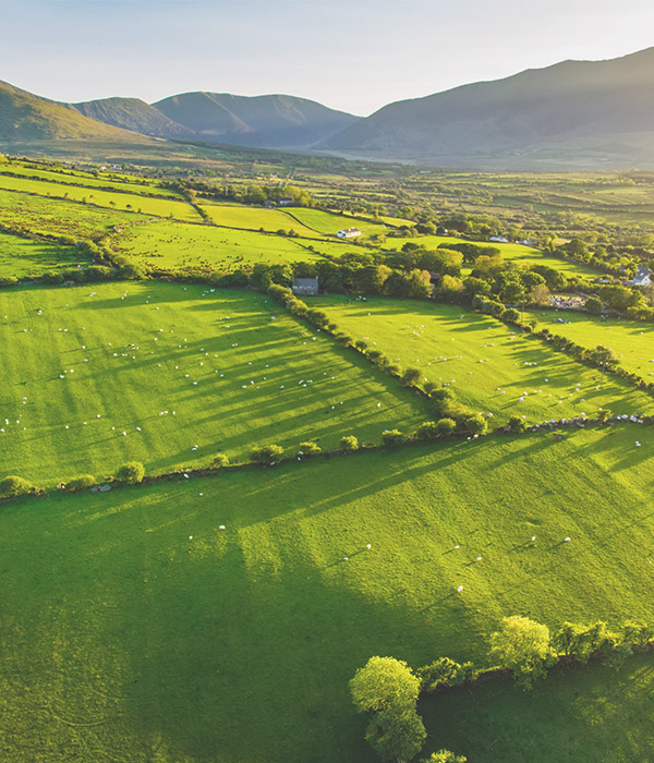 Aerial view of green fields and mountains 