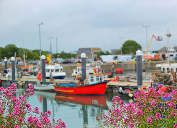 Howth Harbour in summer time