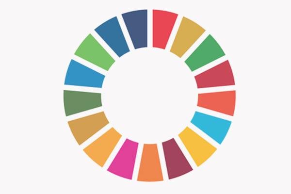 UN Sustainable Goals wheel of different colours