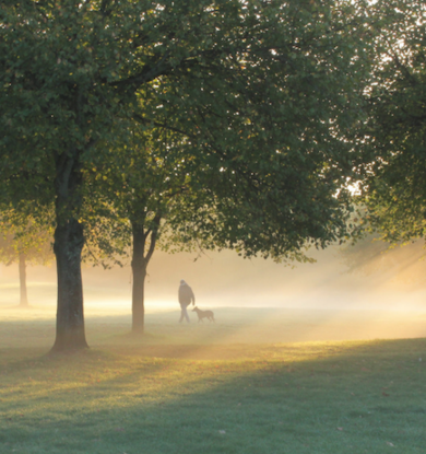 man walking in a foggy park with a dog